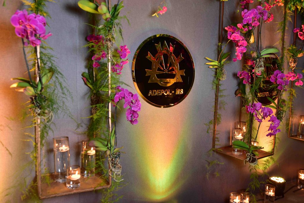 Divulgação das fotos do Baile da ADEPOL 2025